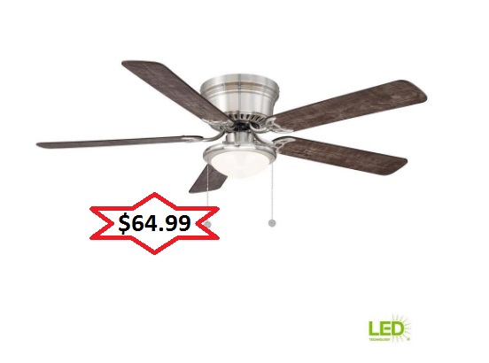 Ceiling fan with light