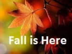 Save Electricity - Autumn Is Coming - Prepare Your Home