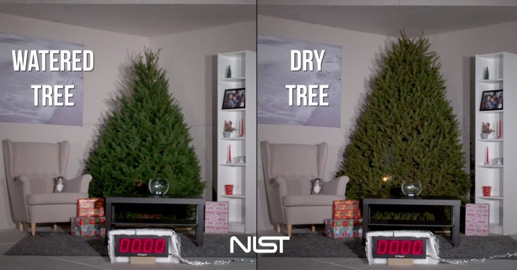 Save Energy and Your Home this Christmas Water Your Christmas Tree