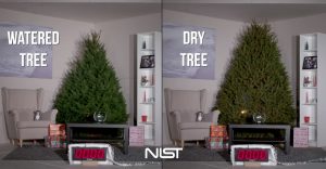 Save Energy and Your Home this Christmas – Water Your Christmas Tree