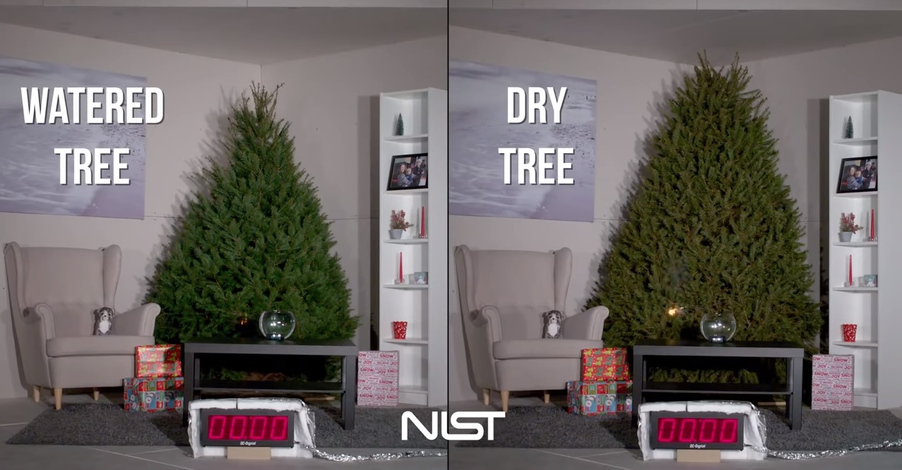 Ahorra Energía y Cuida Tu Hogar esta Navidad - Riega Tu Árbol de Navidad