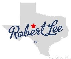 Robert Lee Texas Electricity