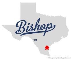 Bishop Texas Electricity