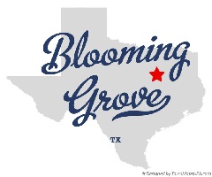 Blooming Grove Texas Electricity