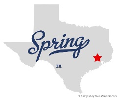 Spring Texas Electricity