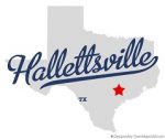 Hallettsville Texas Electricity